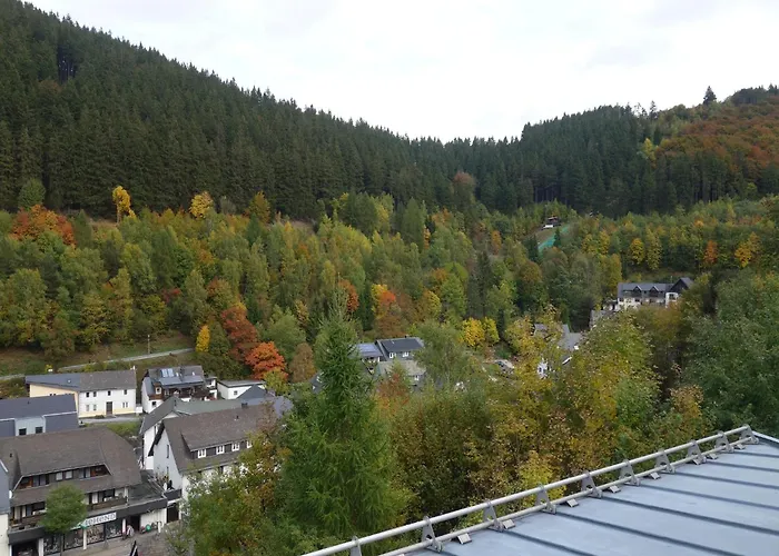 Holiday Home In The Centre Of Willingen With View