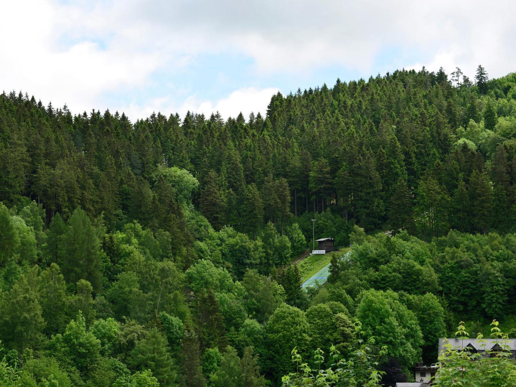 In The Centre Of With View Appartement Willingen (Upland)